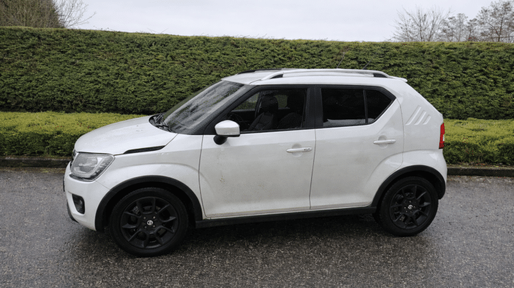 Ignis autom wit 2022